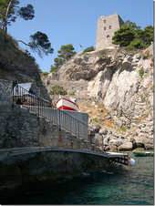 Enlarge photo 25