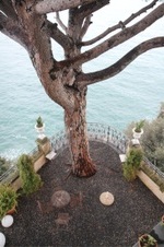 Enlarge photo 38