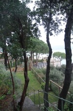 Enlarge photo 41