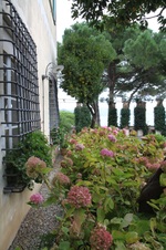 Enlarge photo 21