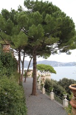 Enlarge photo 22