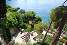 Enlarge photo 3