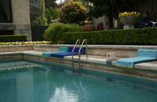 Enlarge photo 77