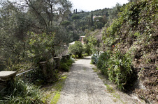 Enlarge photo 7