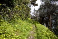 Enlarge photo 10