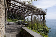 Enlarge photo 11
