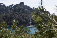 Enlarge photo 35