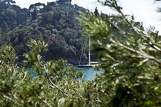 Enlarge photo 36