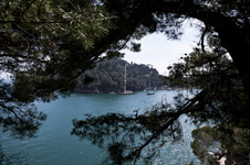 Enlarge photo 37