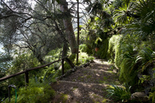 Enlarge photo 41