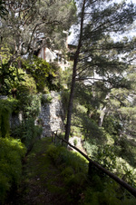 Enlarge photo 42