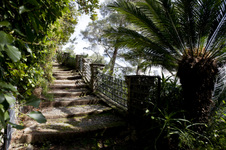 Enlarge photo 43