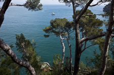 Enlarge photo 45