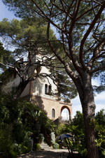 Enlarge photo 51