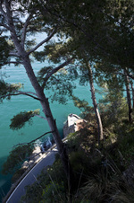 Enlarge photo 62