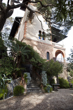 Enlarge photo 103