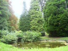 Enlarge photo 11