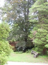 Enlarge photo 13