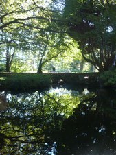 Enlarge photo 19