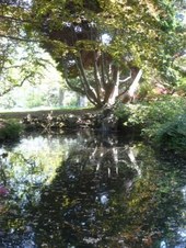 Enlarge photo 21