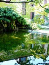 Enlarge photo 22