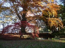 Enlarge photo 26