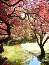 Enlarge photo 28