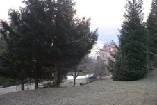 Enlarge photo 31