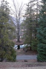 Enlarge photo 33