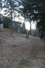 Enlarge photo 34