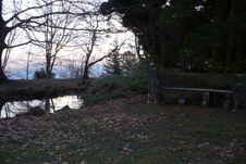 Enlarge photo 35