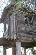 Enlarge photo 36