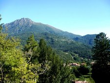 Enlarge photo 59