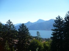 Enlarge photo 61