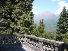 Enlarge photo 62