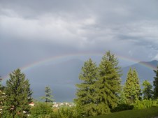 Enlarge photo 63