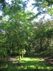 Enlarge photo 16
