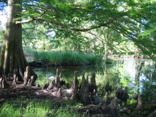 Enlarge photo 18