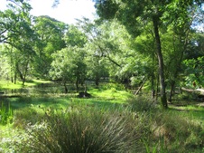 Enlarge photo 20