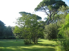 Enlarge photo 23