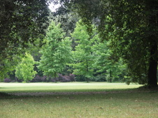 Enlarge photo 27