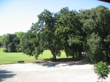 Enlarge photo 32