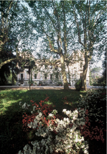 Villa Pisa