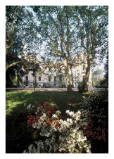 Enlarge PDF 15