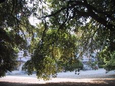 Enlarge photo 43