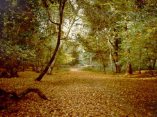 Enlarge photo 22