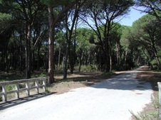 Enlarge photo 36