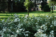 Enlarge photo 24