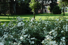Enlarge photo 7