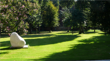 Enlarge photo 21